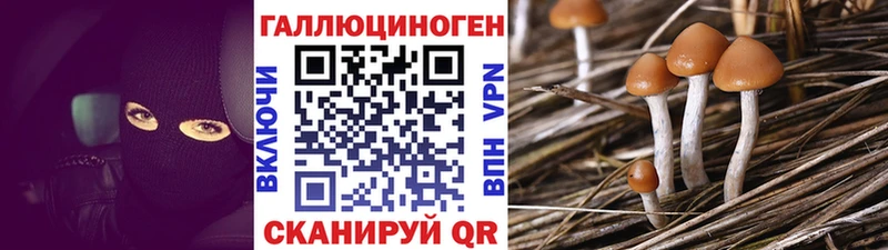 продажа наркотиков  Севастополь  Псилоцибиновые грибы прущие грибы 